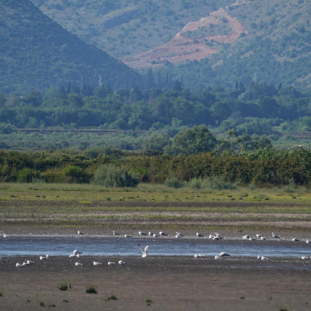 Salinas Nest - Ulcinj Stoj Ada Bojana Villa Dış mekan fotoğraf